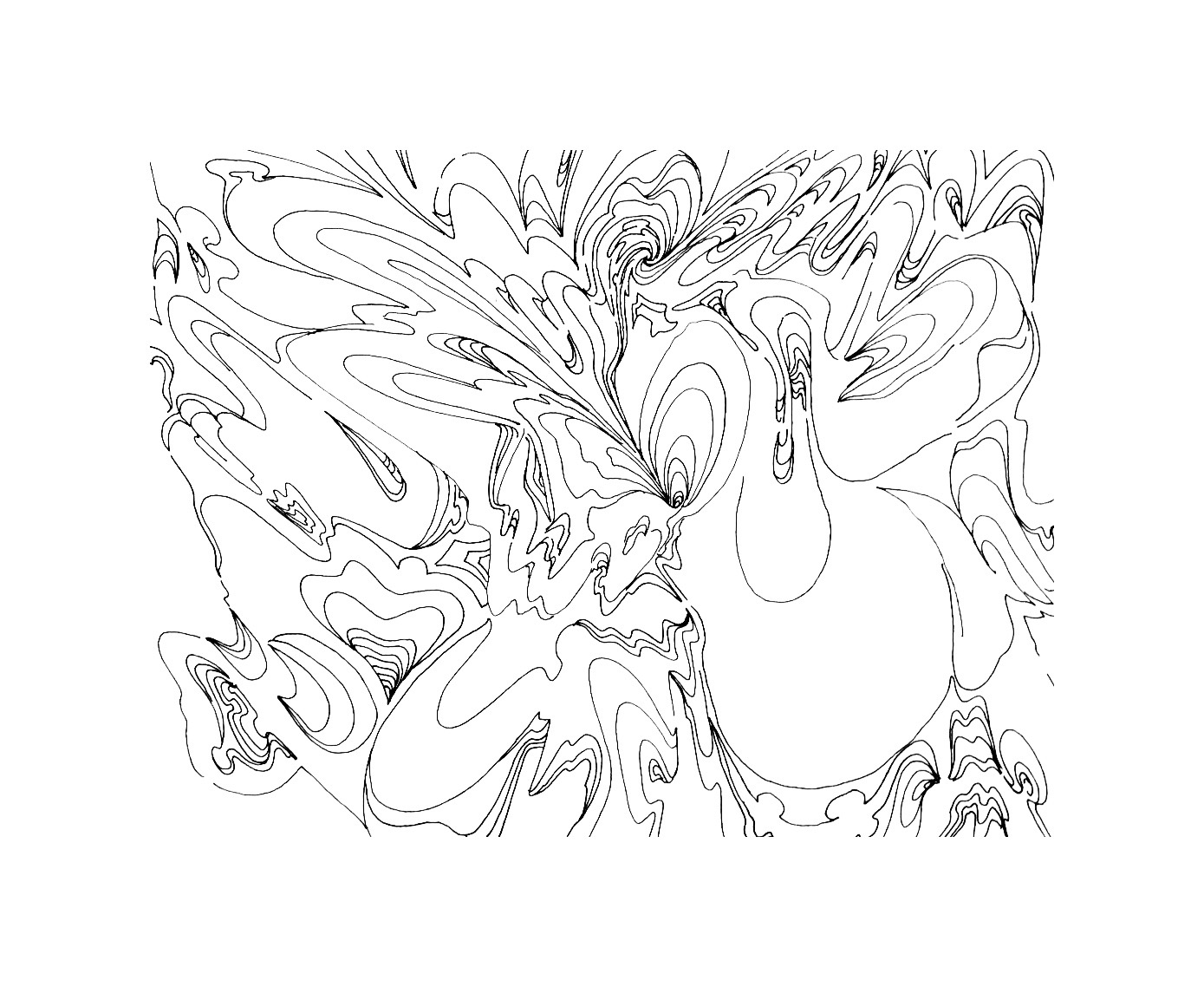 FullSizeRender 2.JPG